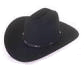 Cat: Blackhat